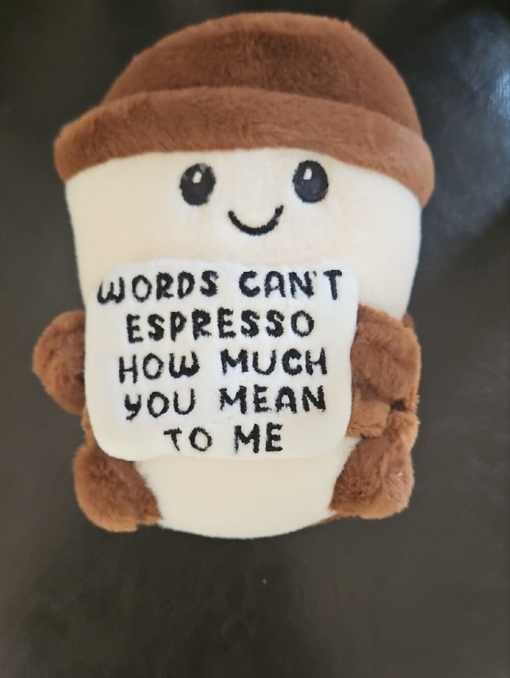 Cute Brown & Cream Coffee Plush with Embroidered Message - Picture 8 of 10